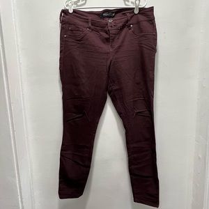 Torrid 16 Tall Jeggings in Maroon